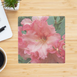 Posavasos De Piedra Rododendros rosados floral en flor