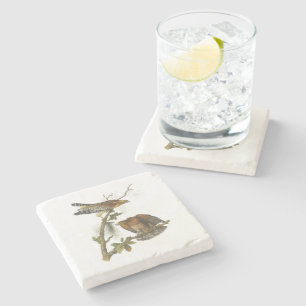 Posavasos De Piedra Rojo-llevó a hombros el halcón por Audubon