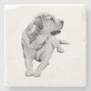 Posavasos De Piedra Romper sip, amigo firme