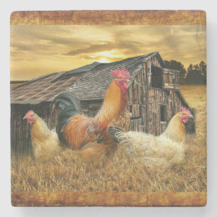 Posavasos De Piedra Rooster Hens Rustic Barn Coop