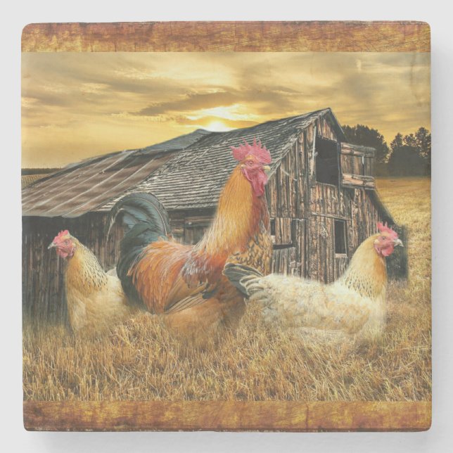 Posavasos De Piedra Rooster Hens Rustic Barn Coop (Anverso)