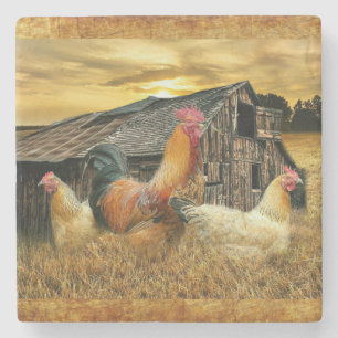 Posavasos De Piedra Rooster Vintage Hens Rustic Barn Coop