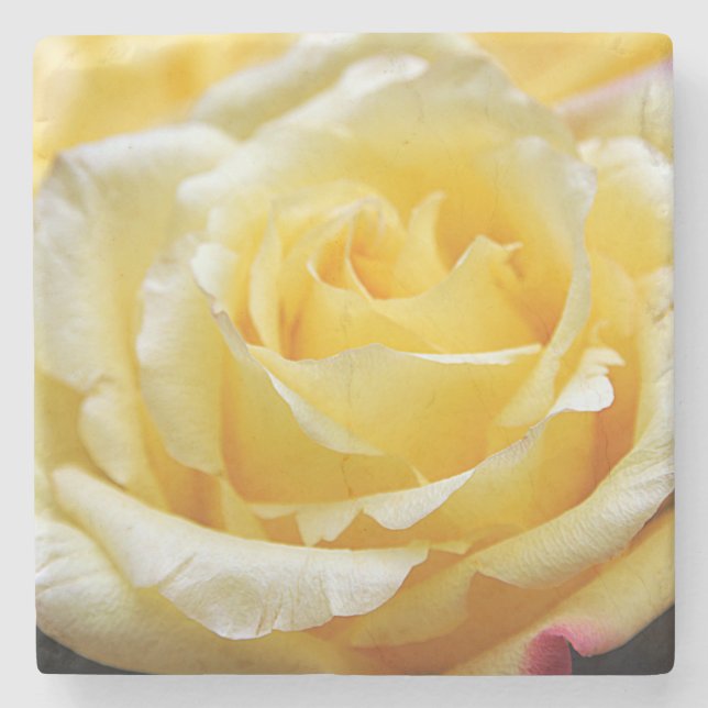 Posavasos De Piedra Rosa amarilla (Anverso)