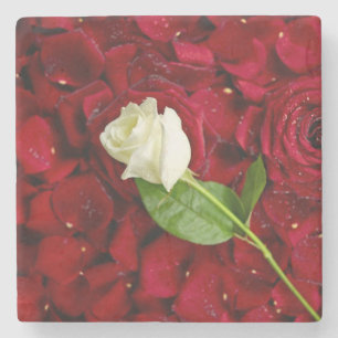 Posavasos De Piedra Rosa blanco en los pétalos rojos