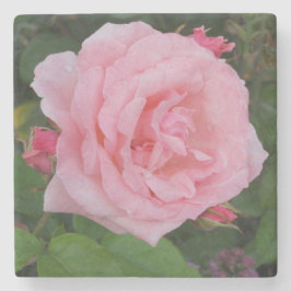Posavasos De Piedra Rosa Clásica Rosa