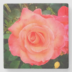 Posavasos De Piedra Rosa de color