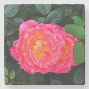 Posavasos De Piedra Rosa de los vientos torrenciales #1
