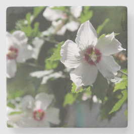 Posavasos De Piedra Rosa de Sharon