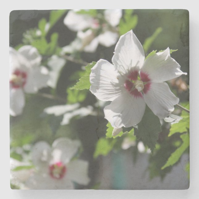 Posavasos De Piedra Rosa de Sharon (Anverso)