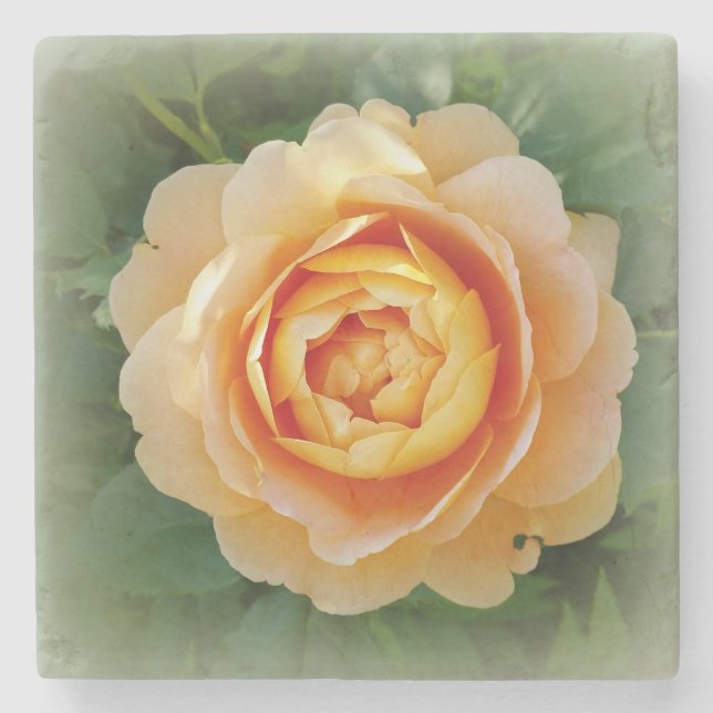 Posavasos De Piedra Rosa dorada (Anverso)