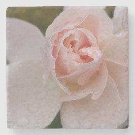 Posavasos De Piedra Rosa rosa con gotas de lluvia