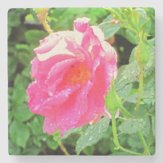 Posavasos De Piedra Rosa rosa húmeda y gruesa