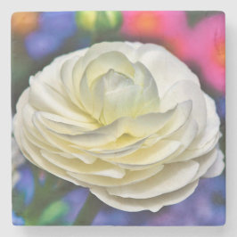 Posavasos De Piedra Rosa Stone Coaster