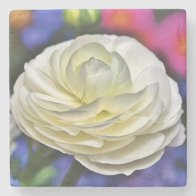 Posavasos De Piedra Rosa Stone Coaster (Anverso)