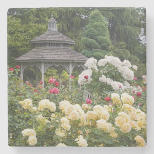 Posavasos De Piedra Rosas en flor y Gazebo Rose Garden en el