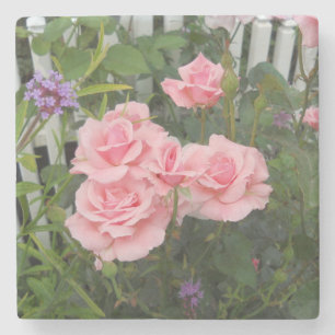 Posavasos De Piedra Rosas rosas rosas