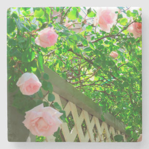 Posavasos De Piedra Rosas rosas y celosías rosas - Viñedo de Martha