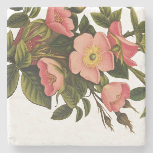 Posavasos De Piedra Rosas Vintage Hermosas Rosadas Botánicas