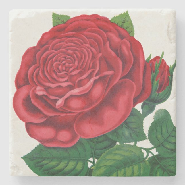 Posavasos De Piedra Rose Print Rochester Lithographing and Printing Co (Anverso)