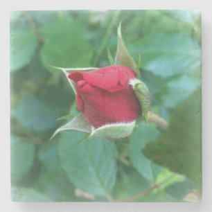 Posavasos De Piedra rosebudo rojo