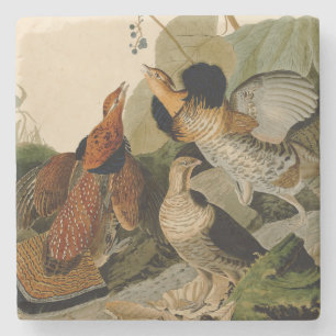 Posavasos De Piedra Ruffed Grouse Audubon Game Bird