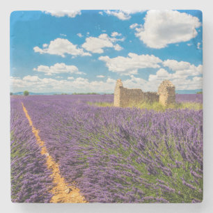 Posavasos De Piedra Ruina en el campo de lavanda, Francia