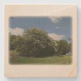 Posavasos De Piedra Rural Sweden June