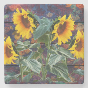 Posavasos De Piedra Rústicas hojas otoñales y girasoles