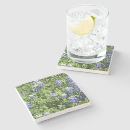 Posavasos de Piedra Rústicos con Bluebonnets