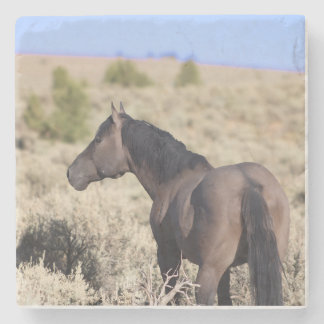 Posavasos De Piedra S Steens Stone Coaster