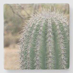 Posavasos De Piedra Saguaro Cactus en Arizona, montaña de piedra cuadr