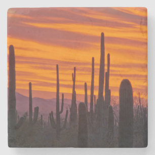 Posavasos De Piedra Saguaro, puesta de sol, Parque Nacional Saguaro