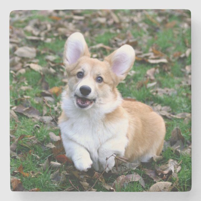 Posavasos De Piedra Salto de Perro Corgi Cute (Anverso)