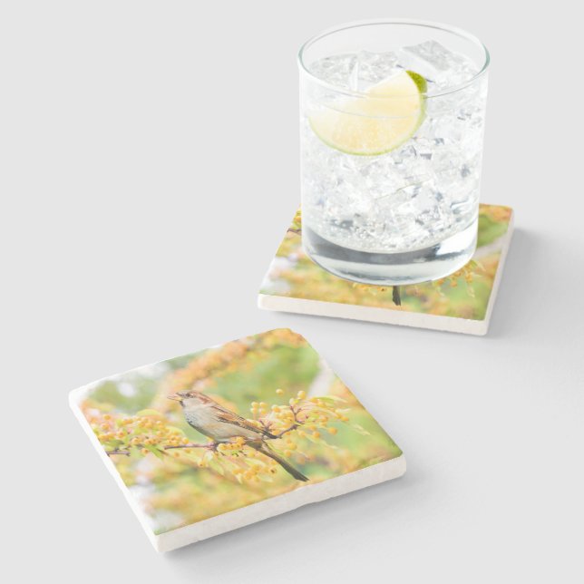 Posavasos De Piedra Salto de primavera (Lateral)