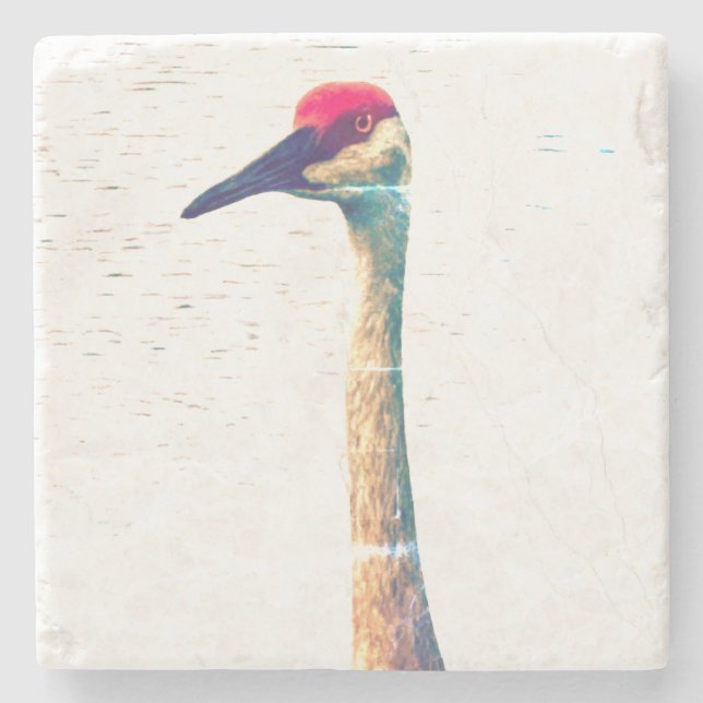 Posavasos De Piedra Sandhill Crane Coaster (Anverso)