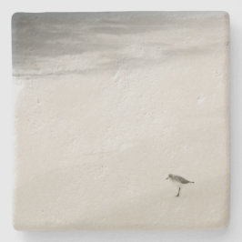 Posavasos De Piedra Sandpiper costero en la playa