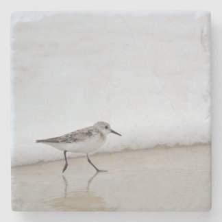 Posavasos De Piedra Sandpiper Shorebird Beach House Stone Coaster