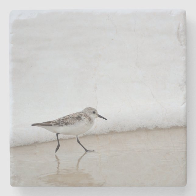 Posavasos De Piedra Sandpiper Shorebird Beach House Stone Coaster (Anverso)