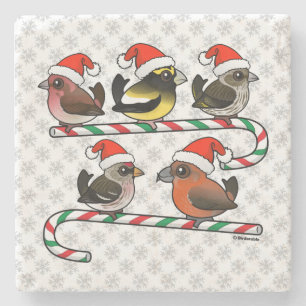 Posavasos De Piedra Santa Finches