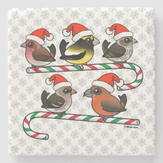 Posavasos De Piedra Santa Finches