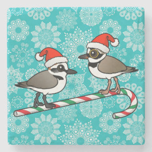 Posavasos De Piedra Santa Plovers