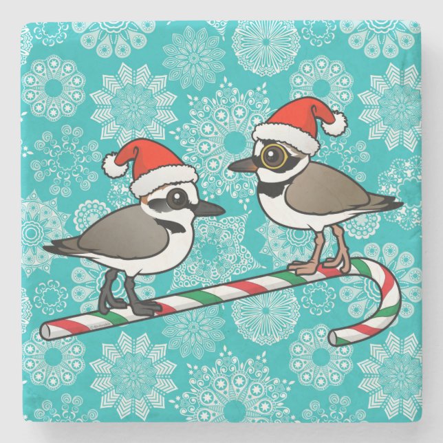 Posavasos De Piedra Santa Plovers (Anverso)