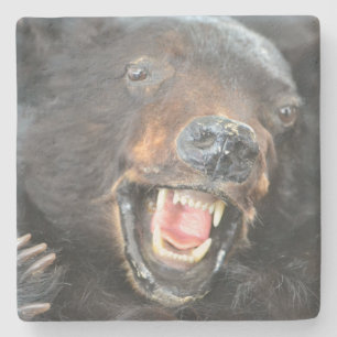 Posavasos De Piedra Scary Bear