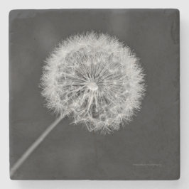 Posavasos De Piedra Se fue a la semilla