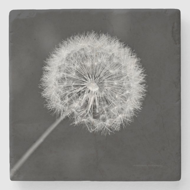 Posavasos De Piedra Se fue a la semilla (Anverso)