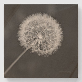 Posavasos De Piedra Se fue a la semilla