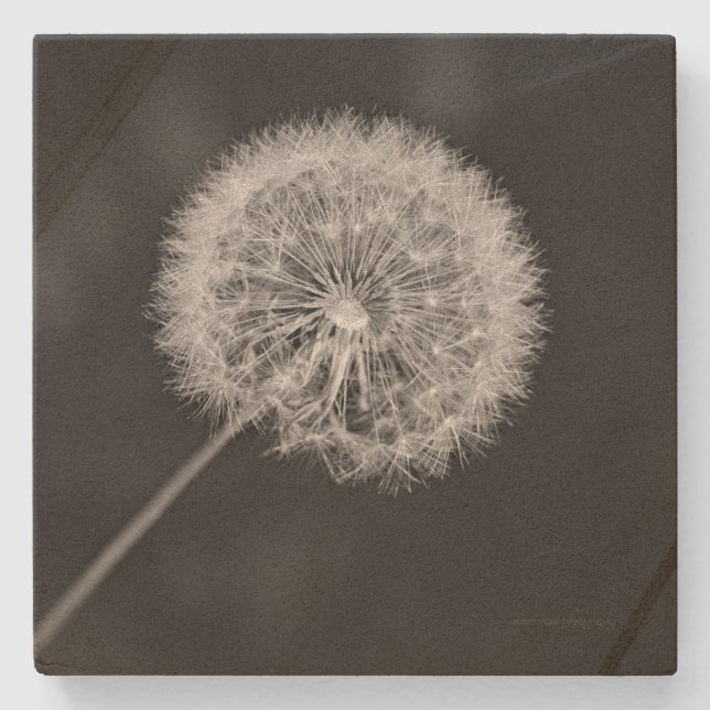 Posavasos De Piedra Se fue a la semilla (Anverso)