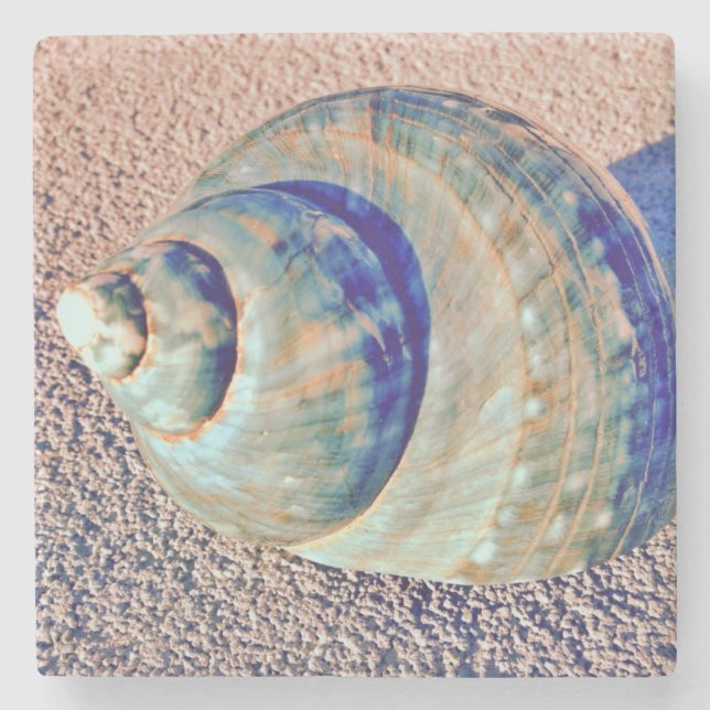Posavasos De Piedra Seashell de Welk del mar (Anverso)