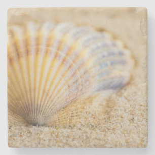 Posavasos De Piedra Seashell dulce