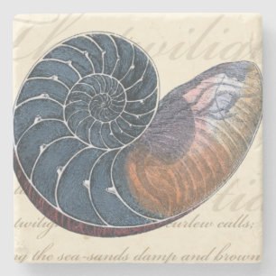 Posavasos De Piedra Seashell romántico